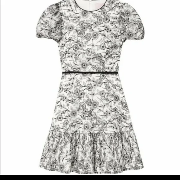 NWT Gal Meets Glam Viola Raffia Embroidered Dress Size 4 - Picture 3 of 10